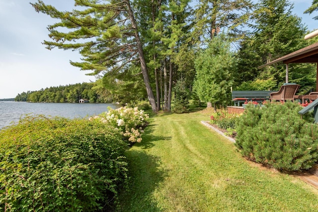 228 Starbird Ln, Rome, ME 04963 - view of green lawn with a water view and a forest view