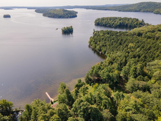 228 Starbird Ln, Rome, ME 04963 - bird's eye view of a large body of water and a forest