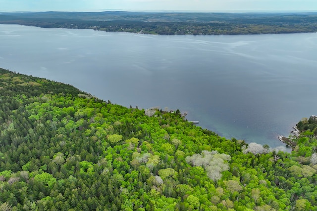 LOT02-A-3 Long Is, Blue Hill, ME 04614