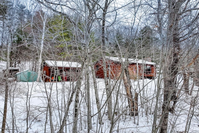 view of snowy yard