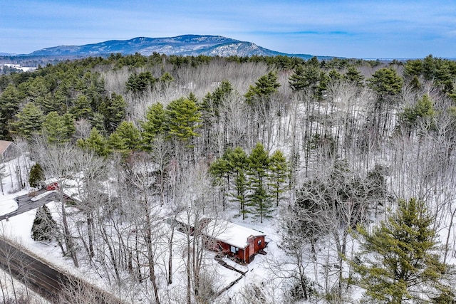 snowy aerial view with a mountain view