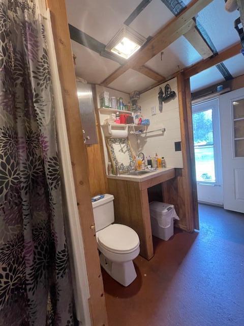 bathroom with toilet