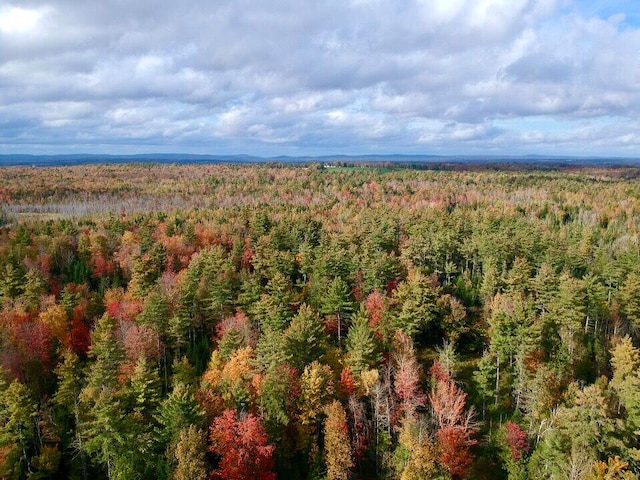 Listing photo 2 for 0 Ledge Hill Rd, Corinth ME 04427