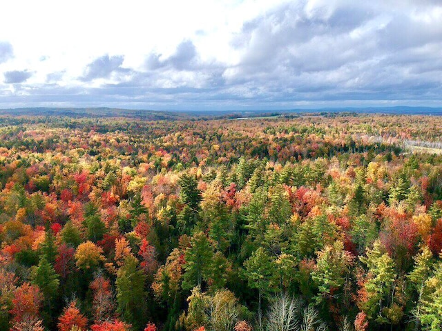 0 Ledge Hill Rd, Corinth ME, 04427 land for sale