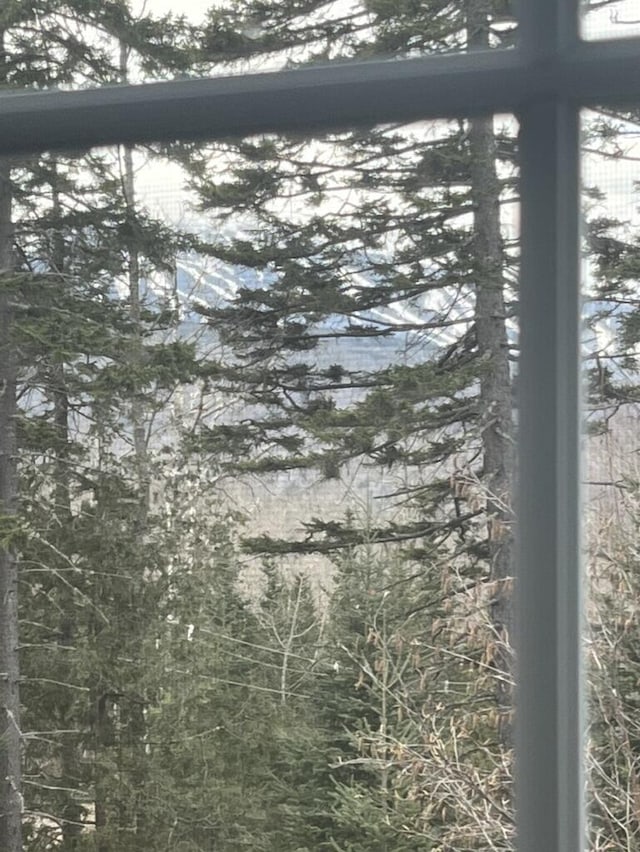 view of local wilderness