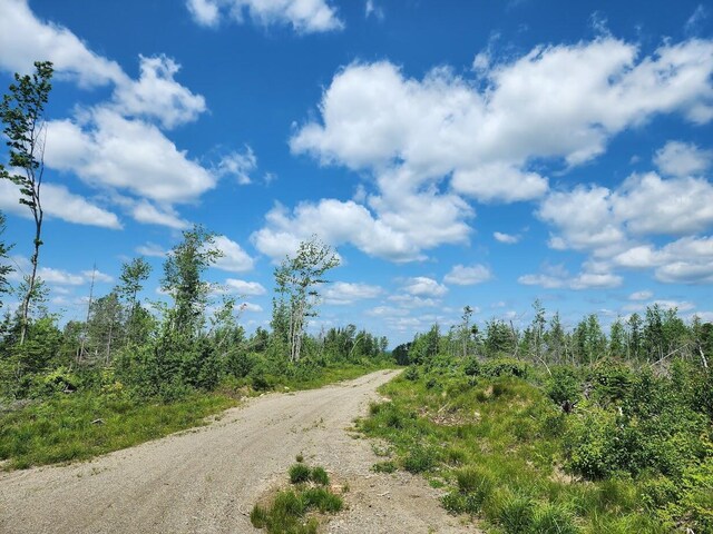 451AC Smith Ridge Rd, Charlotte, ME 04666 - photo 7