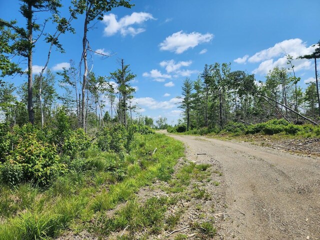 451AC Smith Ridge Rd, Charlotte, ME 04666 - photo 8