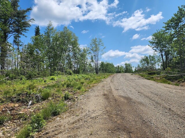 451AC Smith Ridge Rd, Charlotte, ME 04666 - photo 11