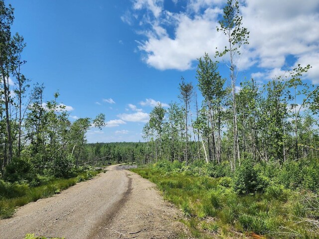 451AC Smith Ridge Rd, Charlotte, ME 04666 - photo 12