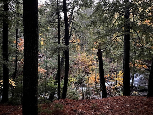 440 Belfast Rd Unit And1, Camden, ME 04843 - view of local wilderness featuring a view of trees