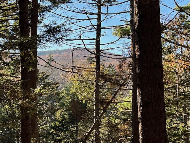 440 Belfast Rd Unit And1, Camden, ME 04843 - view of local wilderness featuring a forest view