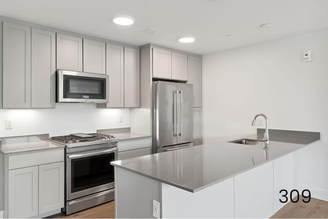 kitchen with light hardwood / wood-style floors, kitchen peninsula, stainless steel appliances, and sink