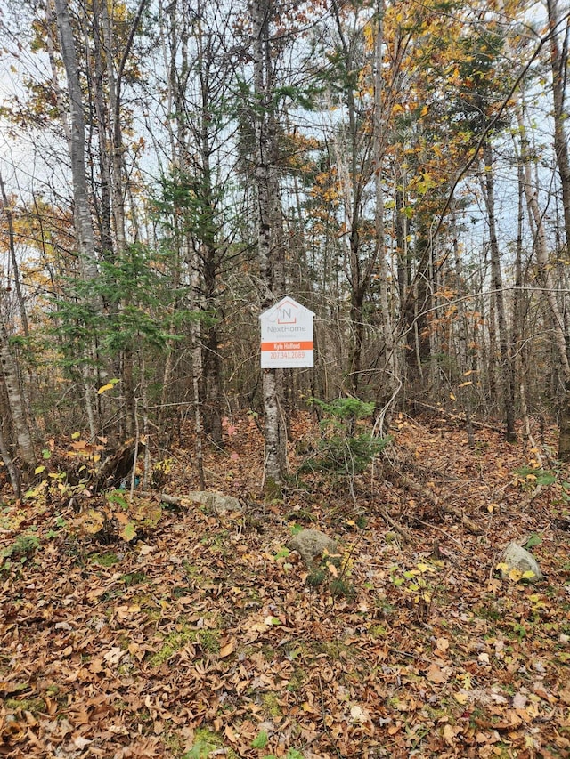 Listing photo 2 for LOT13-2B Tyler Ln, Frankfort ME 04438