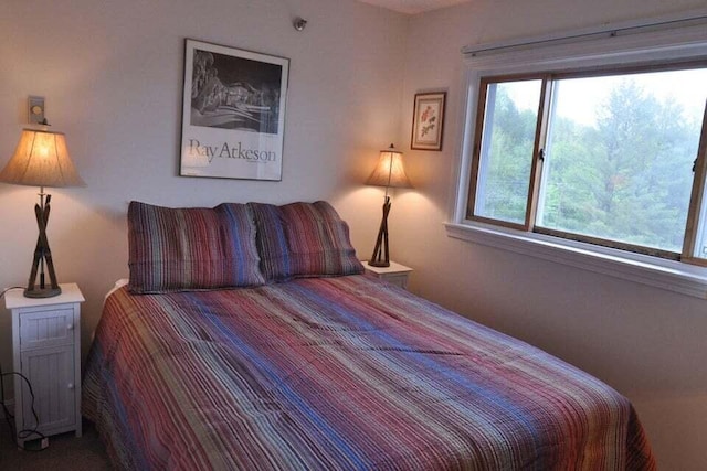 bedroom featuring multiple windows