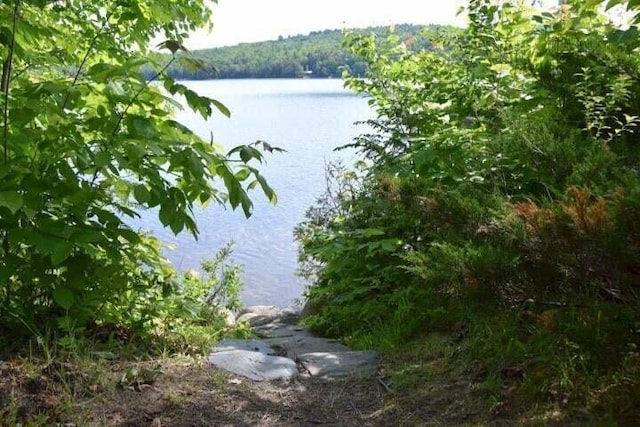 view of water feature