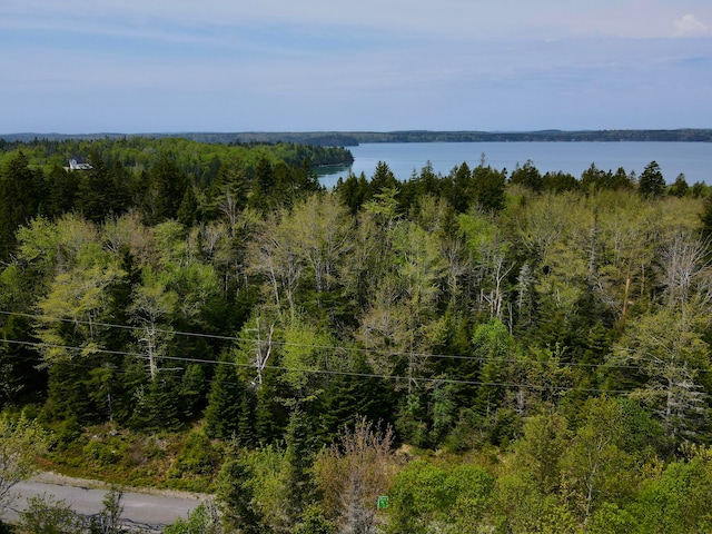 Listing photo 2 for LOT15 Collins Cove Rd, Machiasport ME 04655