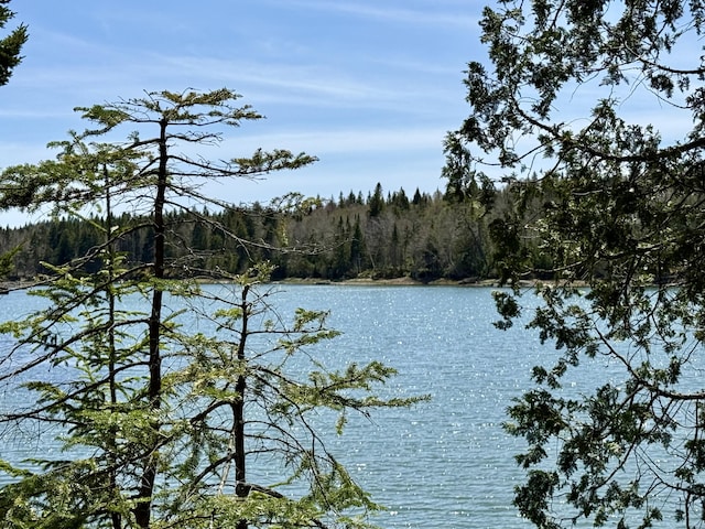 LOT15 Collins Cove Rd, Machiasport, ME 04655
