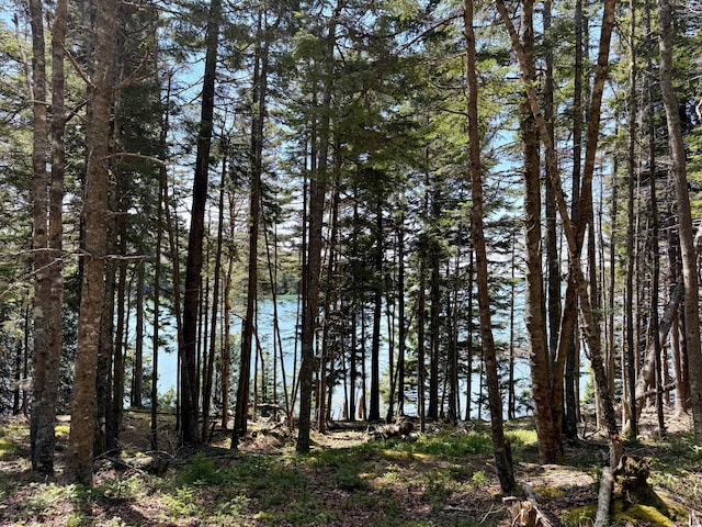 LOT15 Collins Cove Rd, Machiasport, ME 04655