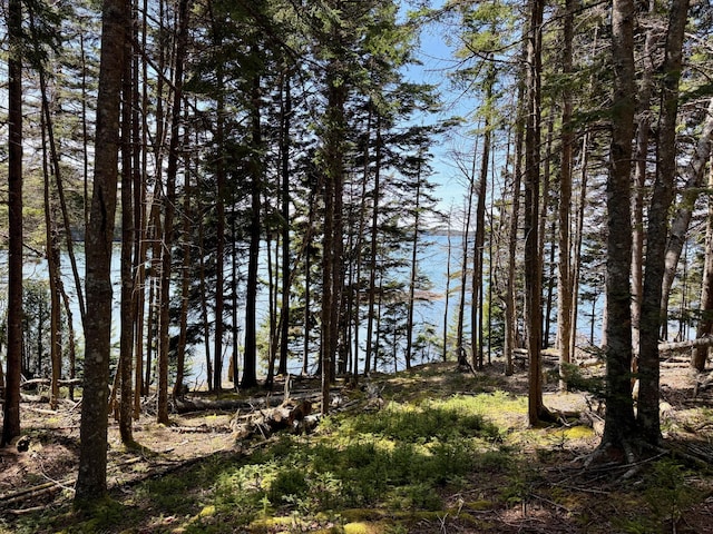 LOT15 Collins Cove Rd, Machiasport, ME 04655
