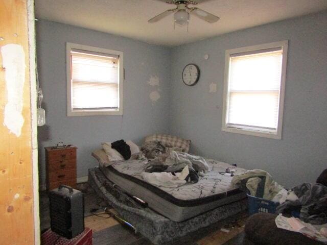 23 Dumas St, Lisbon, ME 04252 - bedroom with multiple windows, wood finished floors, and ceiling fan