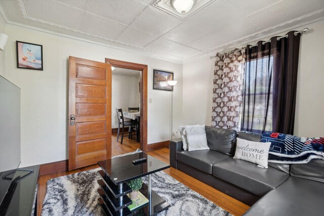 living room featuring ornamental molding and wood-type flooring