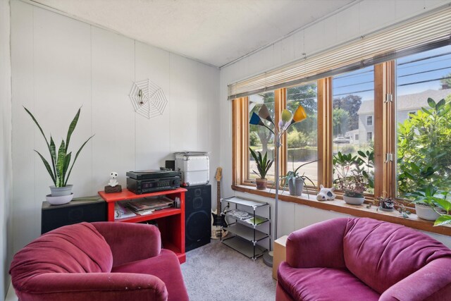 view of carpeted home office