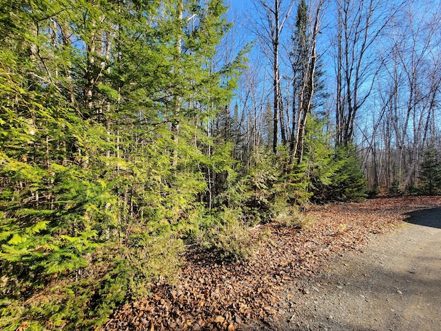 0 Gravy Ln, Bradford, ME 04410