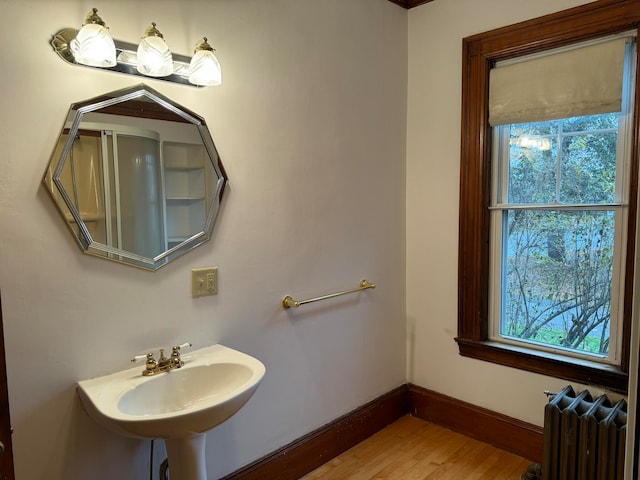 bathroom featuring wood-type flooring, radiator, and sink