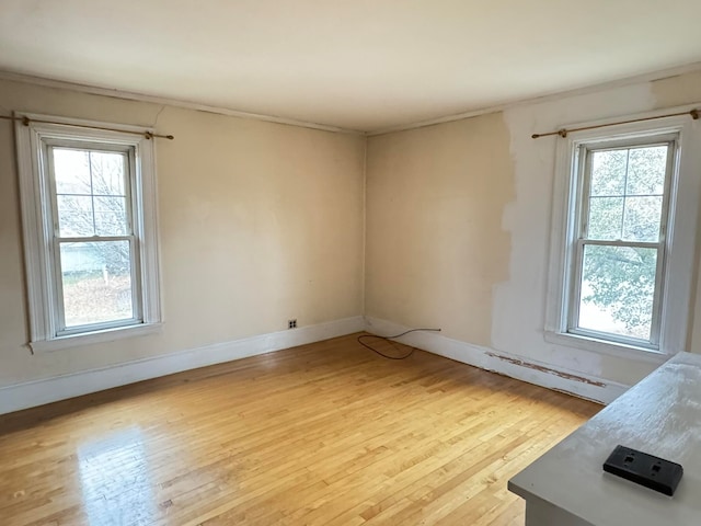 empty room with light hardwood / wood-style flooring and plenty of natural light