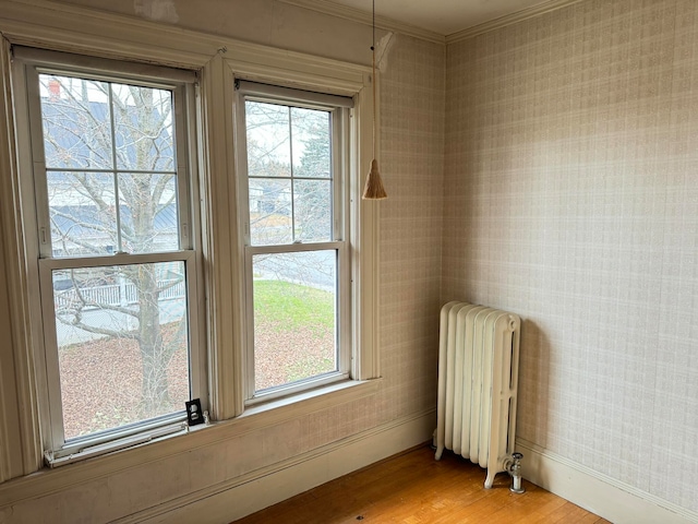 unfurnished room with light hardwood / wood-style floors and radiator