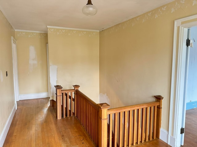 hall with ornamental molding and dark wood-type flooring