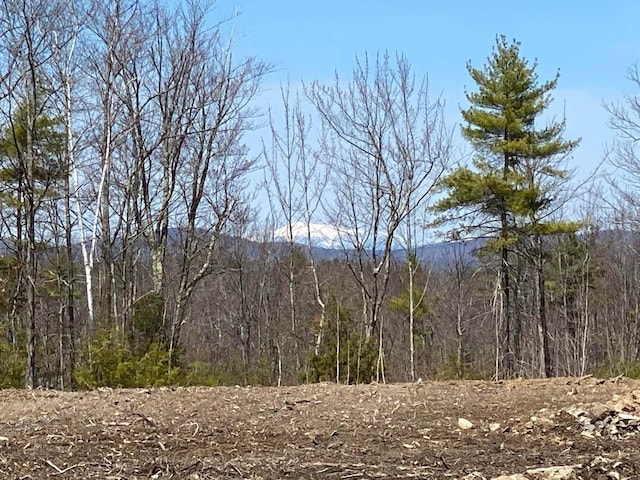 view of local wilderness