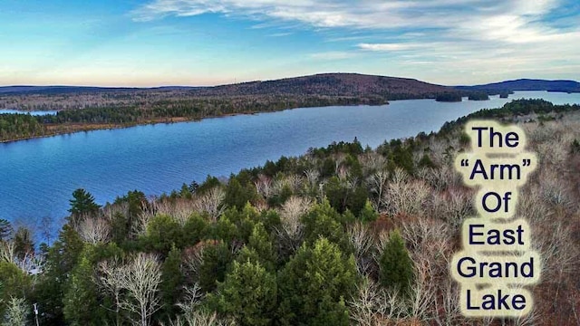 property view of water featuring a mountain view