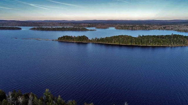 aerial view at dusk with a water view