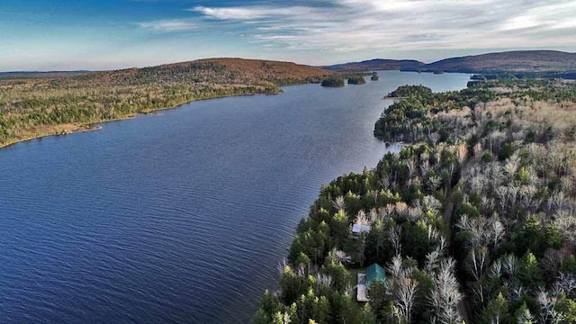 bird's eye view featuring a water and mountain view