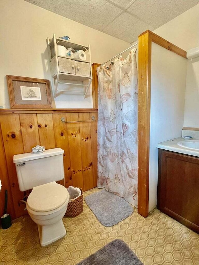 bathroom with toilet and vanity