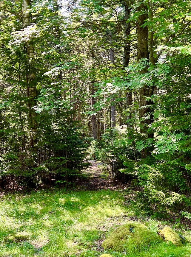 56 Dodge Point Rd, Tremont, ME 04674 - photo 2