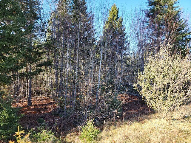 41 Sandy Ridge Ln, Searsport, ME 04974 - photo 2