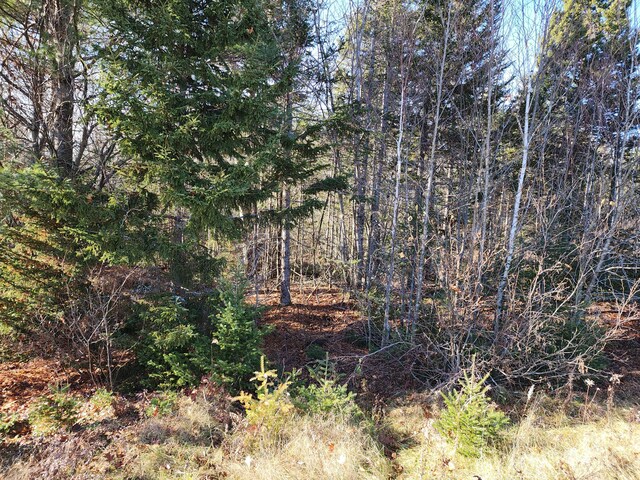 41 Sandy Ridge Ln, Searsport, ME 04974 - photo 3