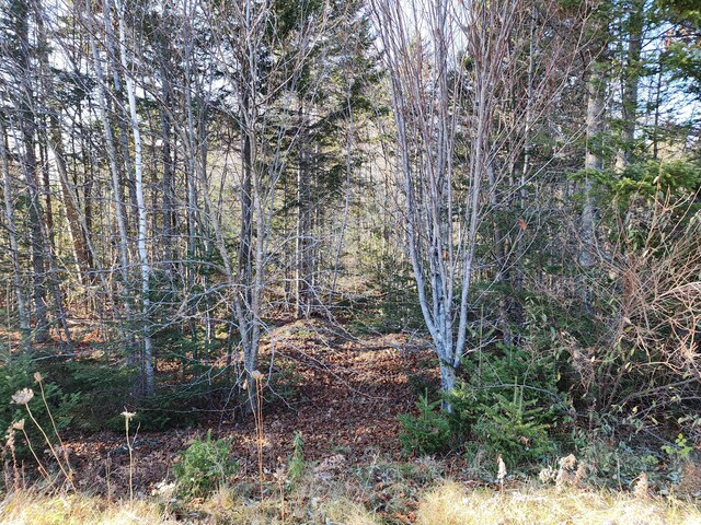 41 Sandy Ridge Ln, Searsport, ME 04974 - photo 4