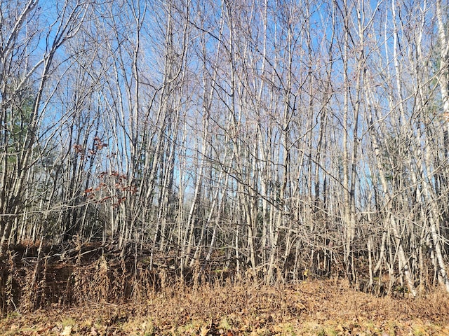 39 Sandy Ridge Ln, Searsport, ME 04974 - photo 8