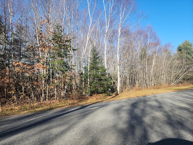 39 Sandy Ridge Ln, Searsport, ME 04974 - photo 9