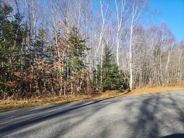 39 Sandy Ridge Ln, Searsport, ME 04974 - photo 10