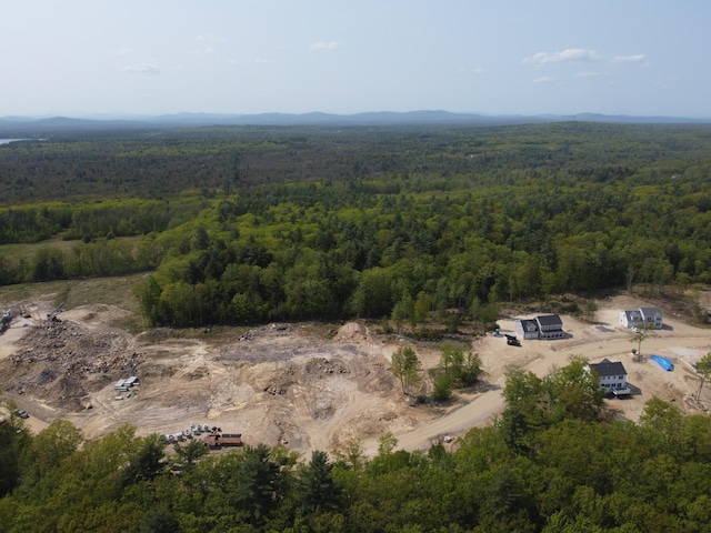 view of drone / aerial view