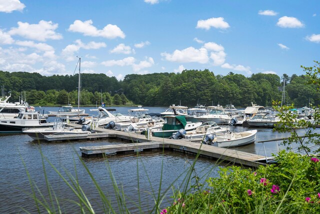 172 Lafayette St, Yarmouth, ME 04096 - photo 29