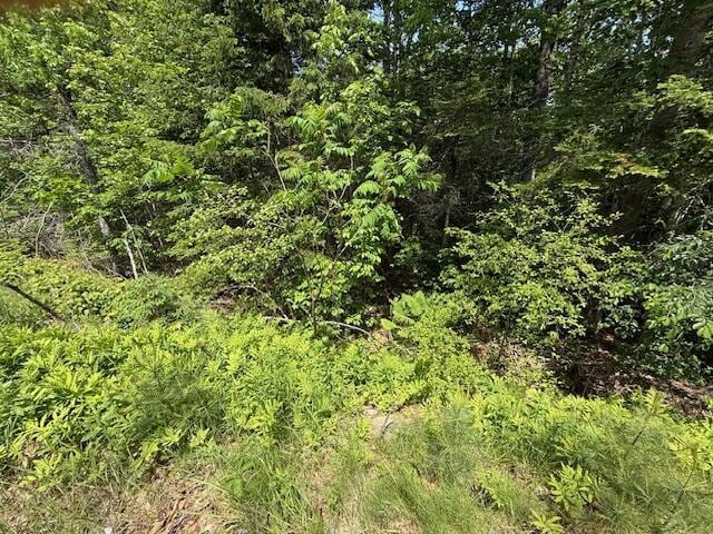00 Moosehorn Dr, Bucksport, ME 04416