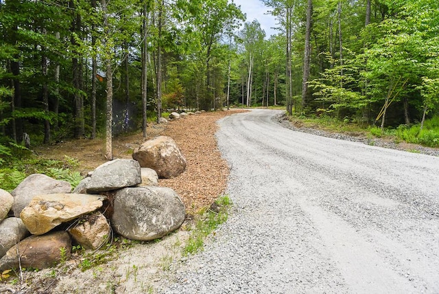 90 Swan Hill Rd, Bethel, ME 04217 - photo 40