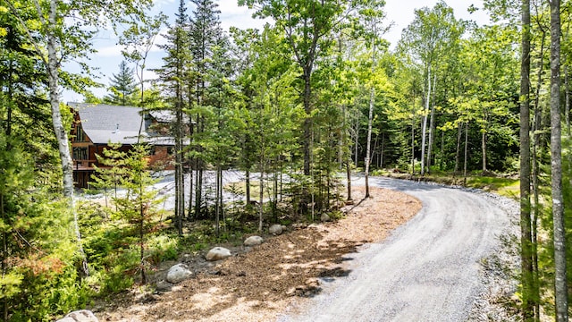 90 Swan Hill Rd, Bethel, ME 04217 - photo 42