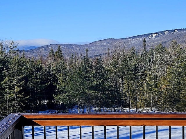 90 Swan Hill Rd, Bethel, ME 04217 - photo 46