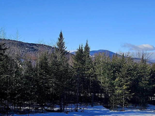 view of mountain feature